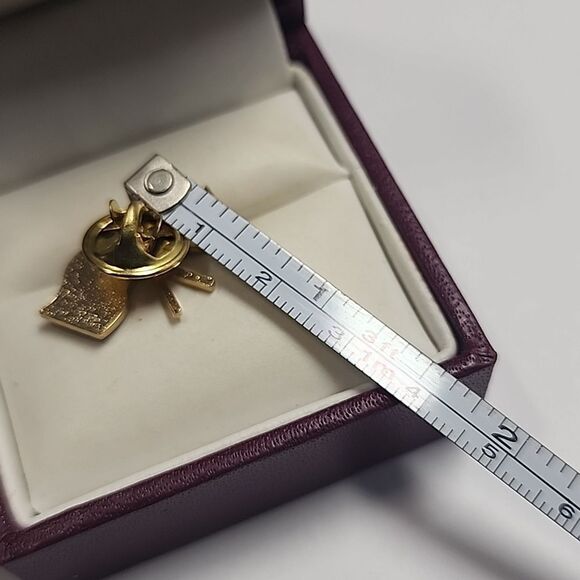 Gold Enamel Flag Pin Historic Scotland Friendship Flags - Picture 4 of 4